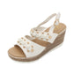 Zanni - Ladies Shoes Sandals White (2449)