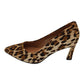 Kate Appleby - Ladies Occasion Leopard (3899)
