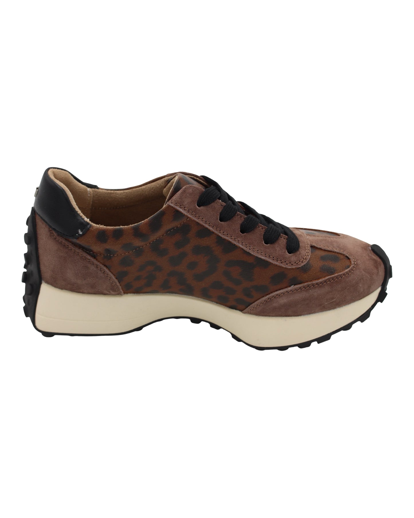 Kate Appleby - Ladies Trainers Jaguar (3958)